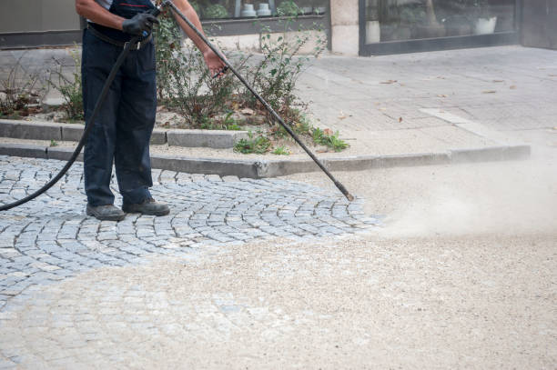 Best Fence Cleaning and Maintenance in Walnut Grove, CA